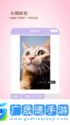 全能美日相機(jī)