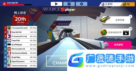 冬季運動雪橇