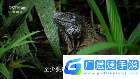 全網通TV