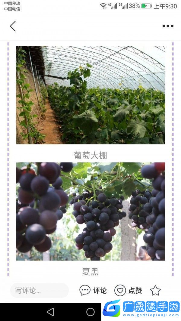 冀云懷來(lái)app下載安裝冀云懷來(lái)安卓版下載v1.0.0
