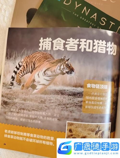 流放之路奇遇