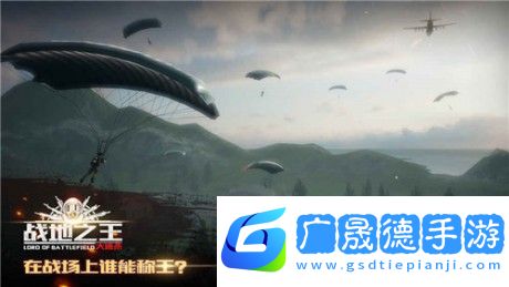 戰地之王