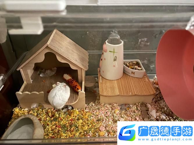 我給倉鼠蓋別墅2